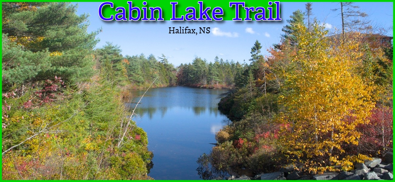 Cabin Lake & Fleetview Trail in Halifax, Nova Scotia