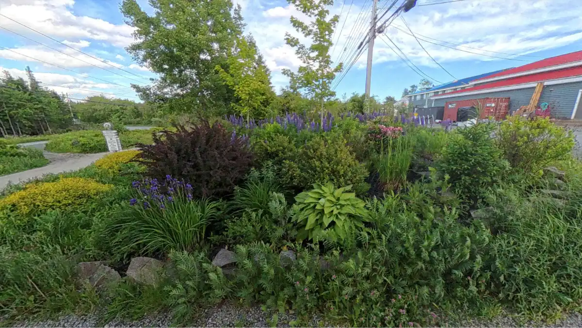 360 View