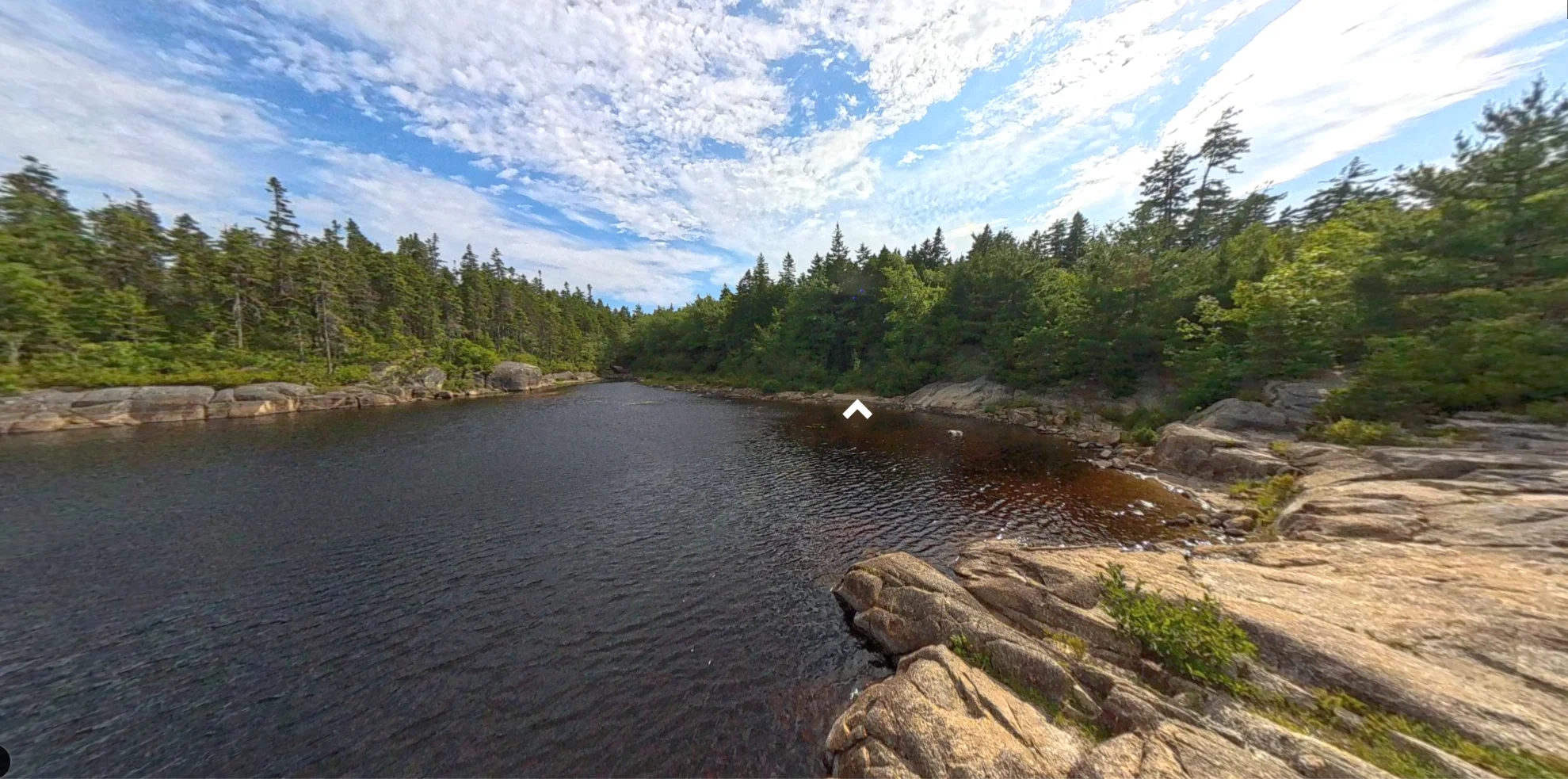 360 View
