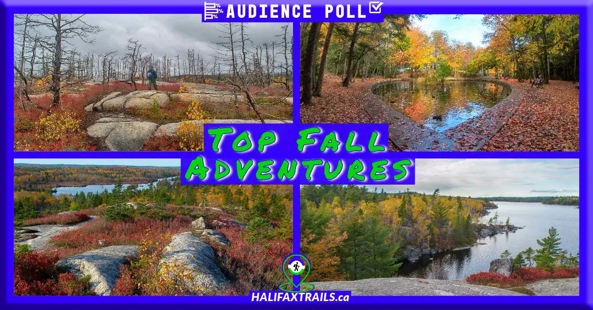 The Best Fall Hikes Near Halifax, Nova Scotia