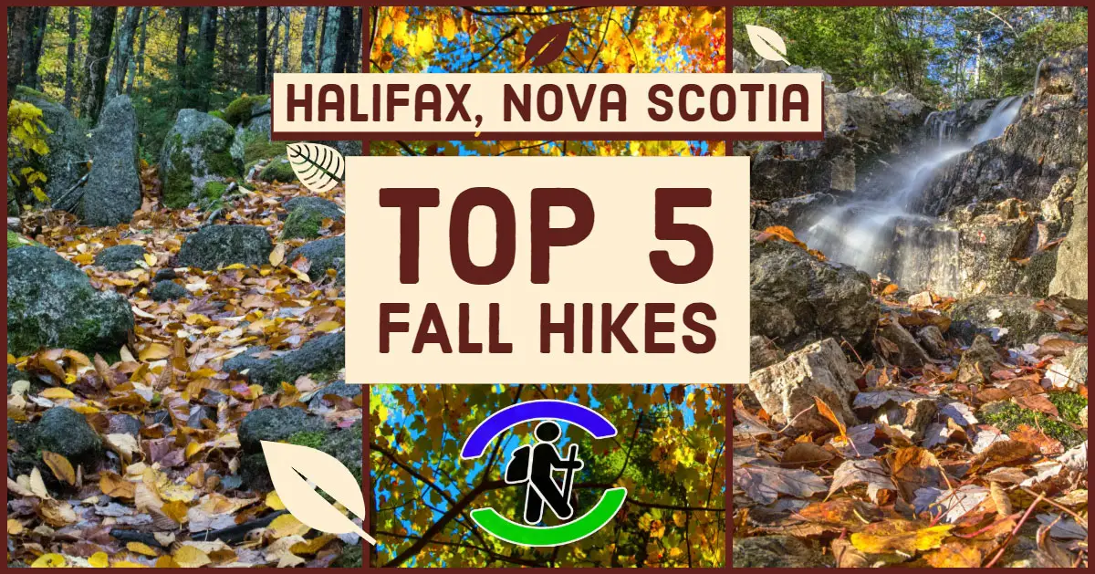 Top 5 Fall Hikes in Halifax, Nova Scotia